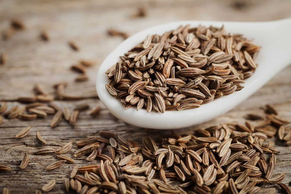 Cumin Seeds Export