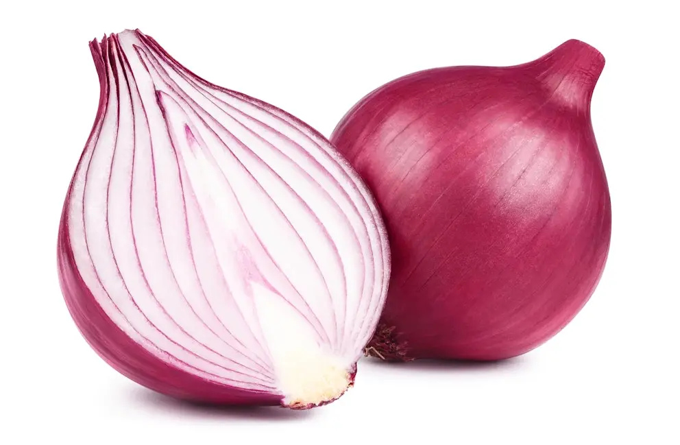 Fresh Onion