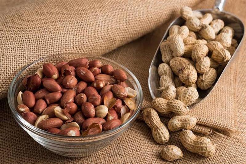 Peanut exporter from india